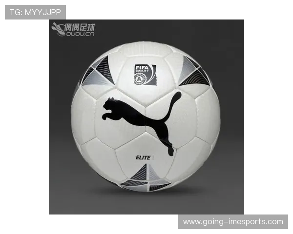 彪马赞助的足球明星是谁 解析其在球场上的影响力与成就