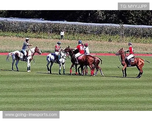 马球场上风采依旧 足坛明星马球之路探秘